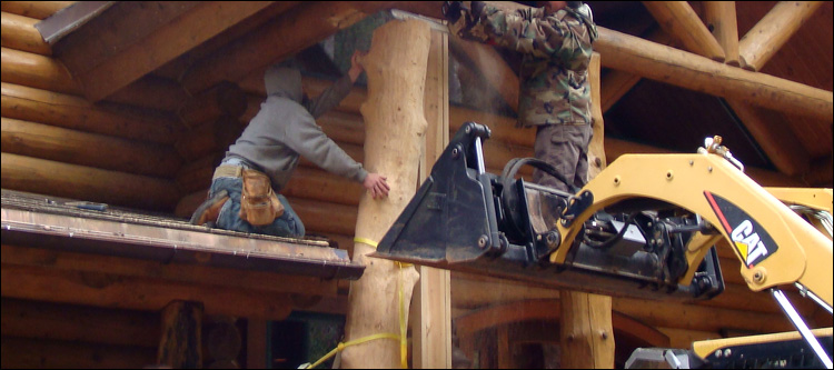 Log Home Log Replacement  Barren County, Kentucky